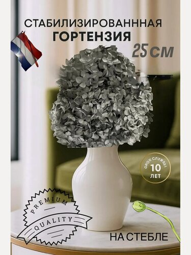 Изображение товара Гортензия стабилизированная сухоцветы для декора растения на стебле