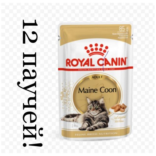 Влажный корм Royal Canin Мейн-кун, для здоровья кожи и блеска шерсти, 12 шт. х 85 г (кусочки в соусе)