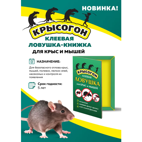 Клеевая ловушка-книжка для крыс и мышей клеевая ловушка книжка от мышей и крыс 5 штук