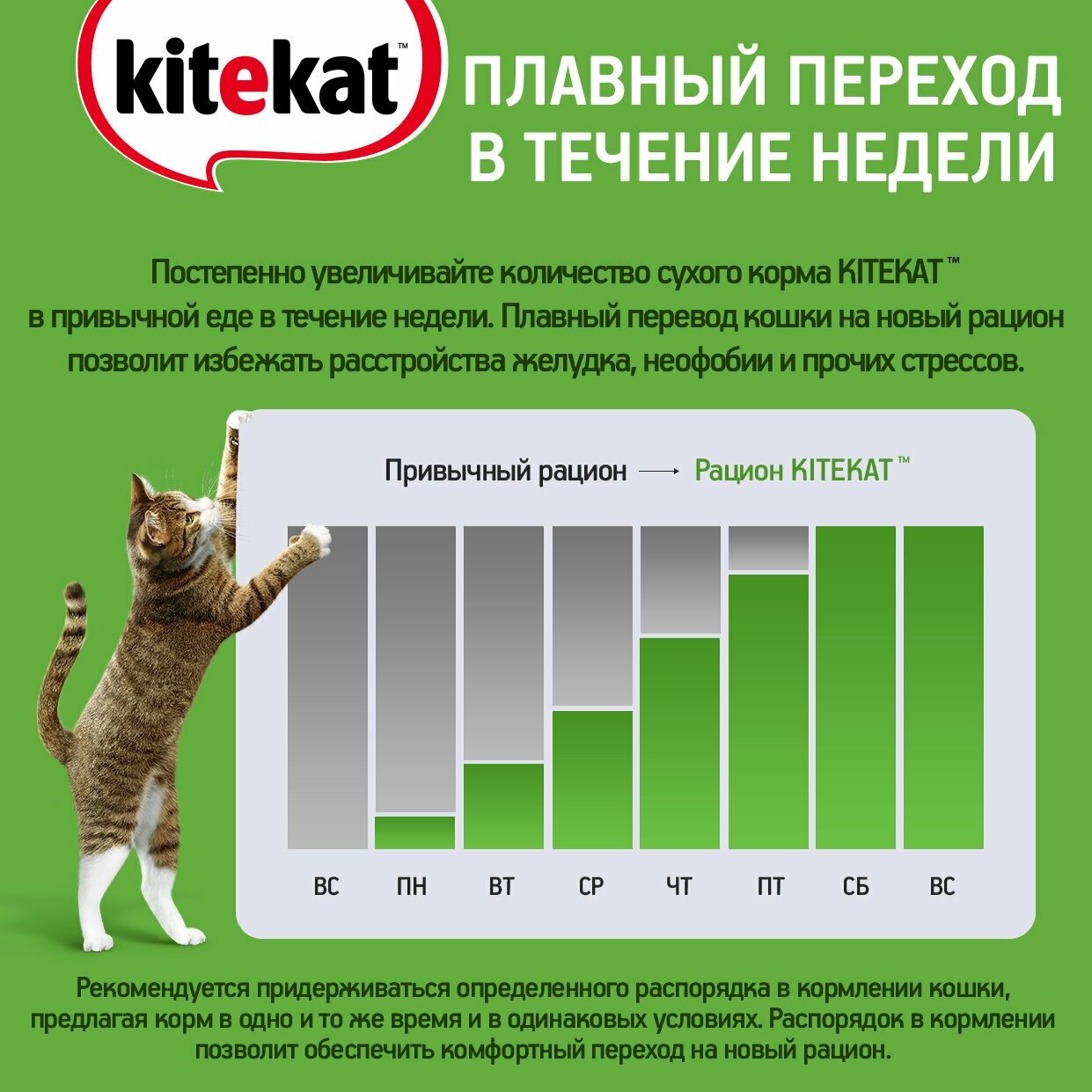 Сухой корм для кошек Kitekat, Мясной пир, 20 шт. по 350 г - фотография № 11