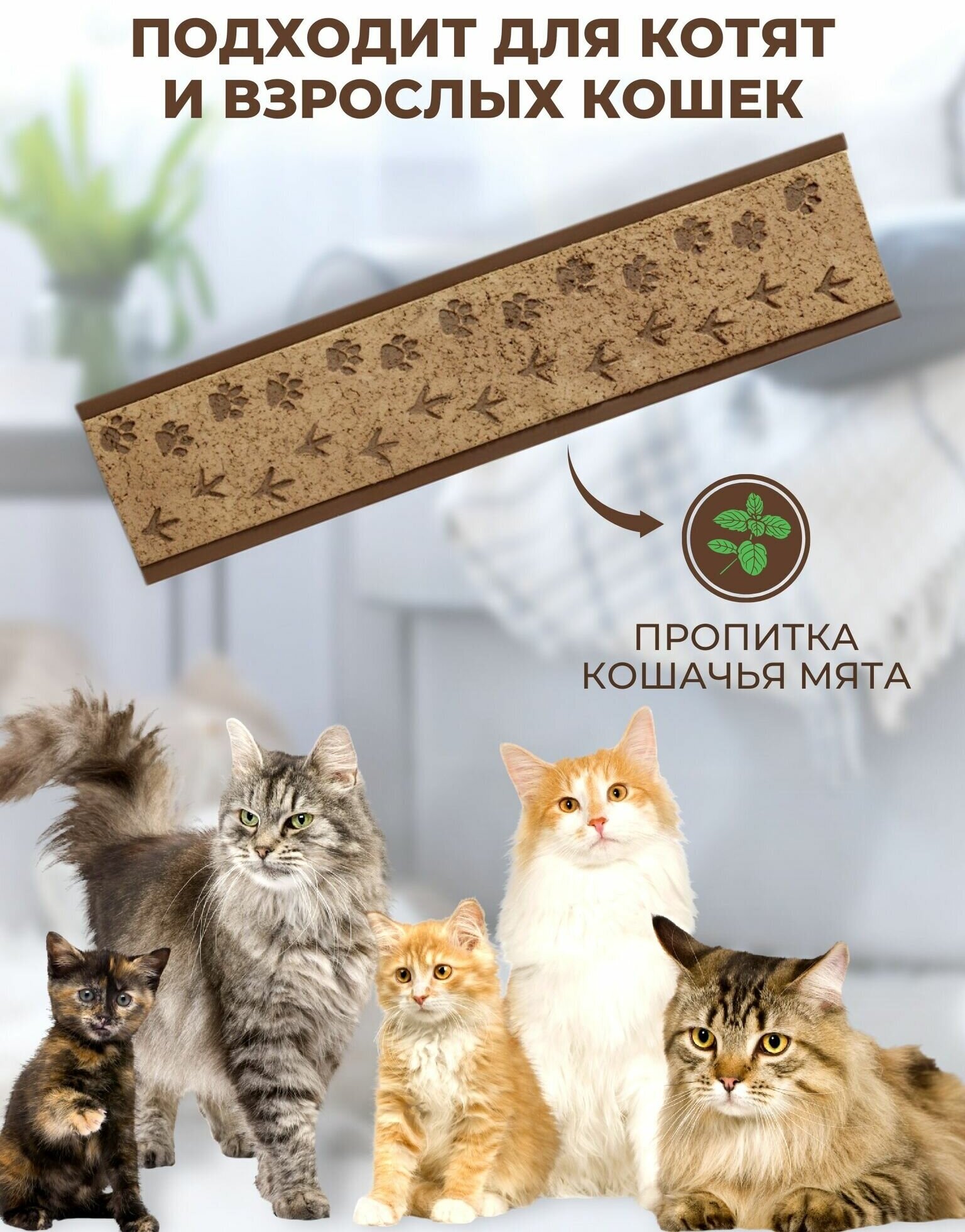 Когтеточка для кошек напольная настенная , натуральная, с мятной пропиткой - фотография № 4