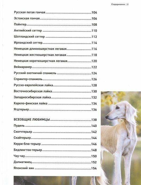 Все породы собак. Большая иллюстрированная энциклопедия - фото №13