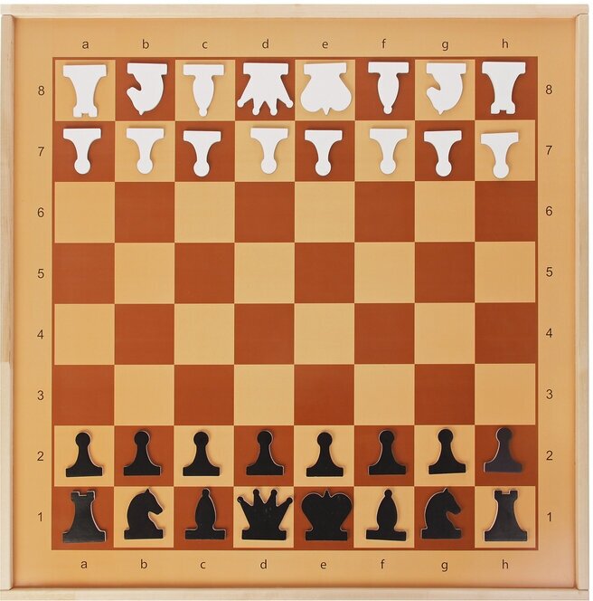 Демонстрационные шахматы магнитные, Десятое Королевство