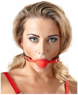 Gagged Models