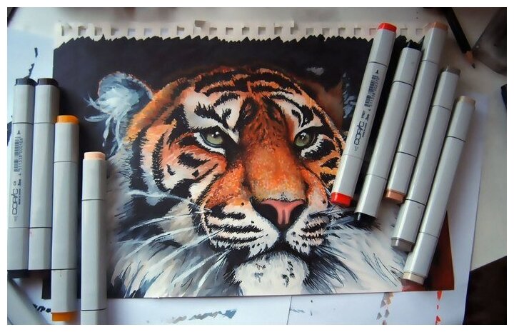 Картины по номерам маркерами