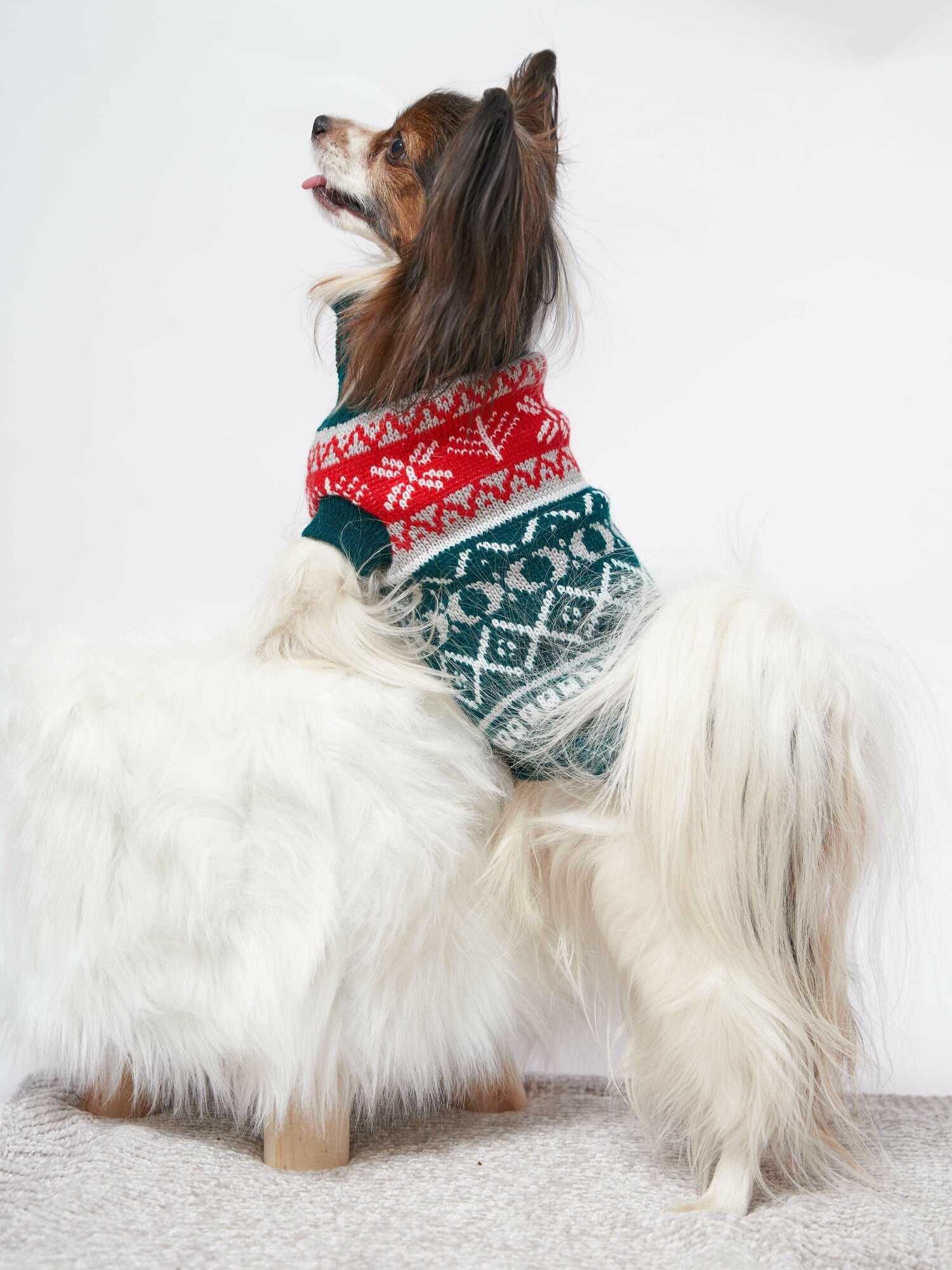 Свитер для собак мелких пород "Жакард" зеленый, XL (33-35 см ) - фотография № 1