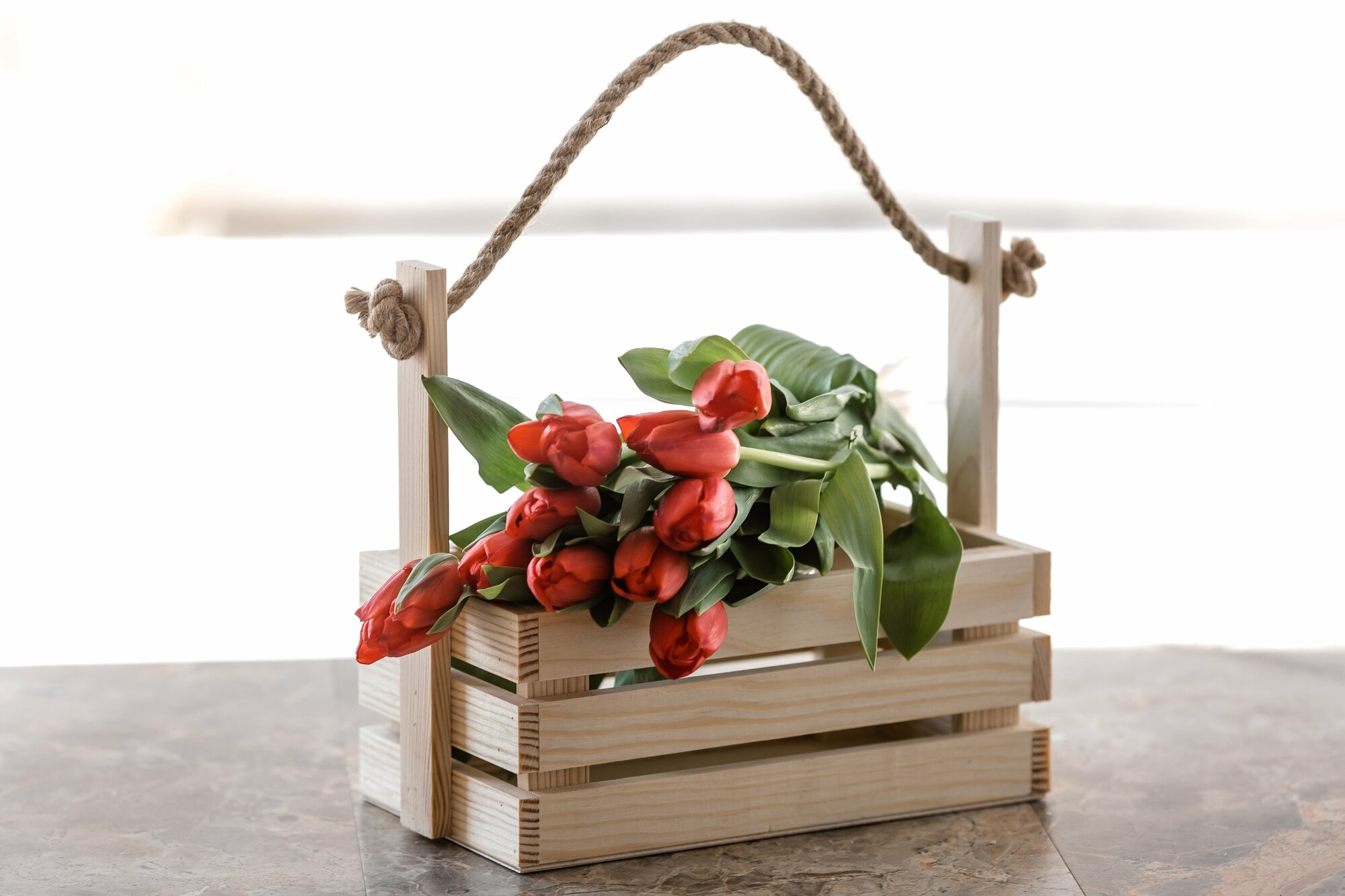 фото 15MARIOMARATA