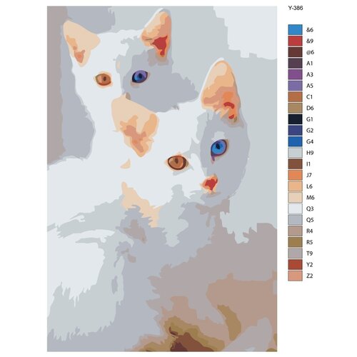 Картина по номерам Y-386 Белые кошки с гетероxромией 70x110