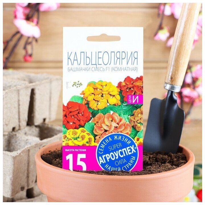 Семена комнатных цветов Кальцеолярия "Башмачки", 5 шт.