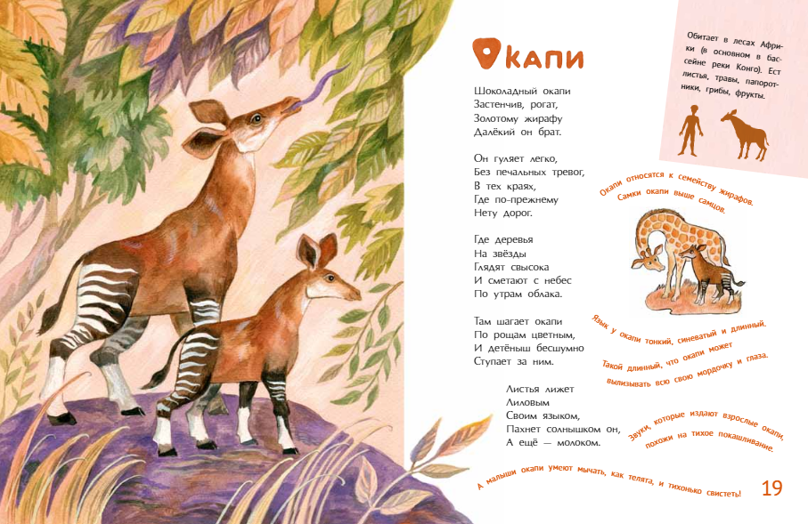 Удивительные звери (Герасимова Дарья Сергеевна) - фото №2