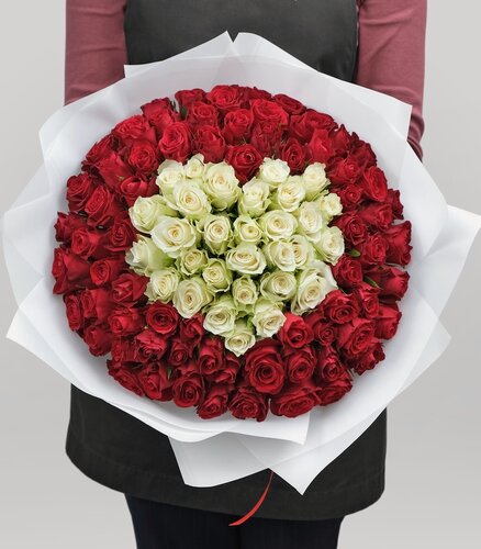 Изображение товара Монобукет "Белла", из красно-белых роз, 101 цветок, высота 40см