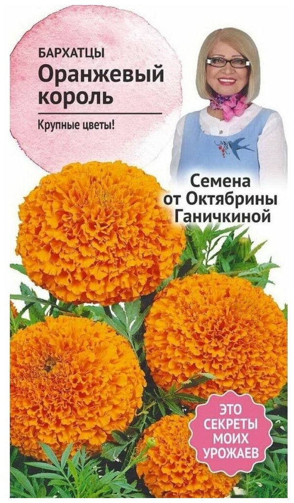 Семена Цинния Оранжевый король Семена от Октябрины Ганичкиной 05 гр