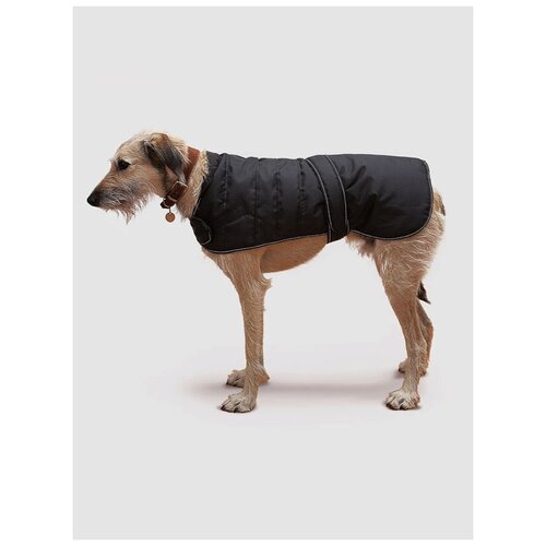 Пальто для собак HARNESS