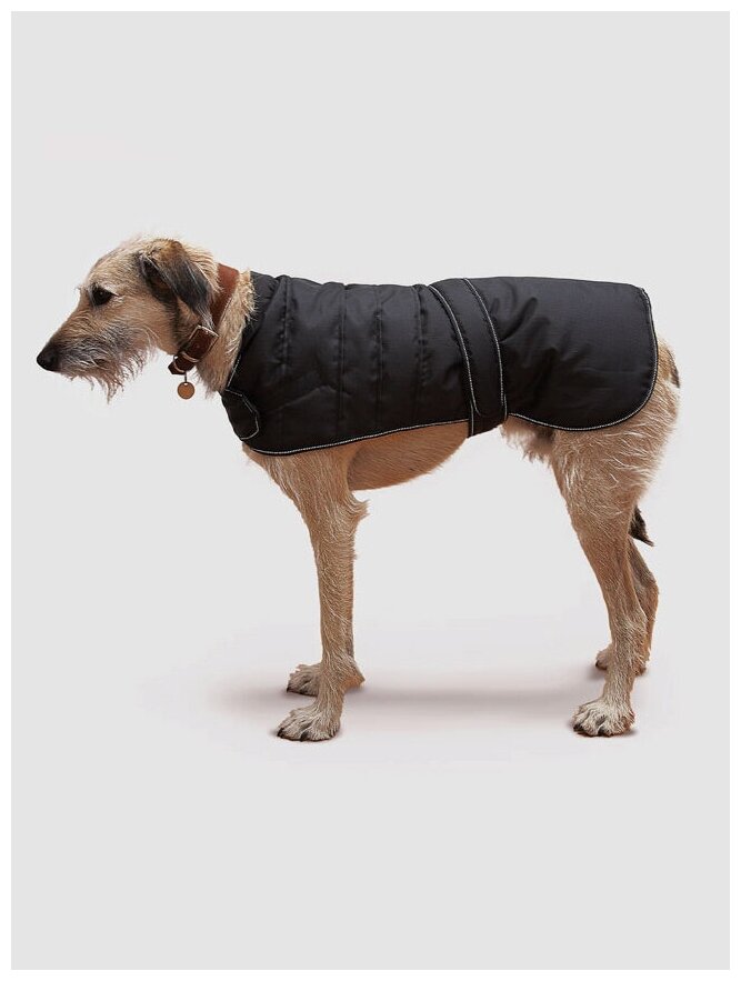 Пальто для собак HARNESS - фотография № 1