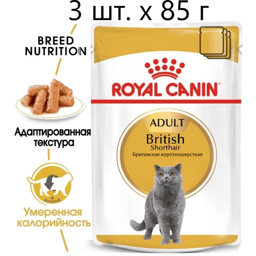 royal canin british shorthair adult для взрослых британских короткошерстных кошек 2 2 кг Влажный корм для кошек Royal Canin British Shorthair Adult, для взрослых кошек породы британская короткошерстная, 3 шт. х 85 г (кусочки в соусе)