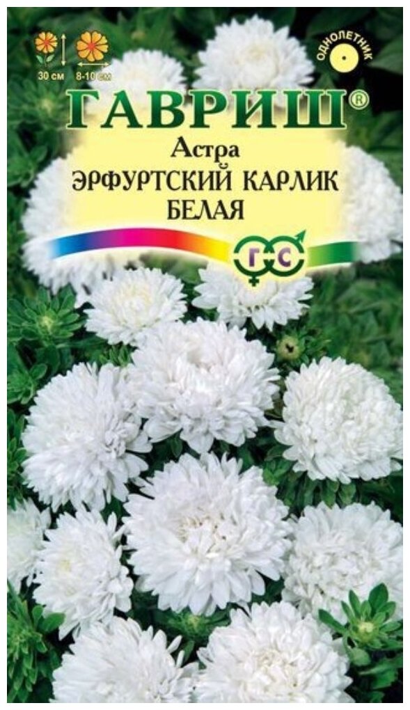 Астра Эрф. Карлик Белая Одн. Цв.П (гавриш) 0.3г. Количество уп 10 шт.