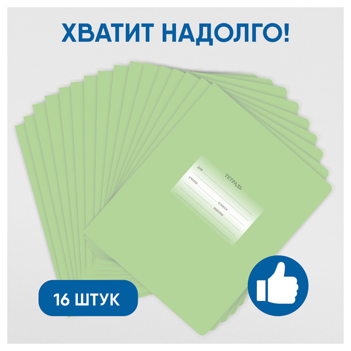 Тетради для школы в клетку 12 листов, Комплект/набор школьных тетрадей 16 штук BG "Первоклассная" однотонные, тонкие, со справочным материалом и картонной обложкой /для учебы и контрольных работ