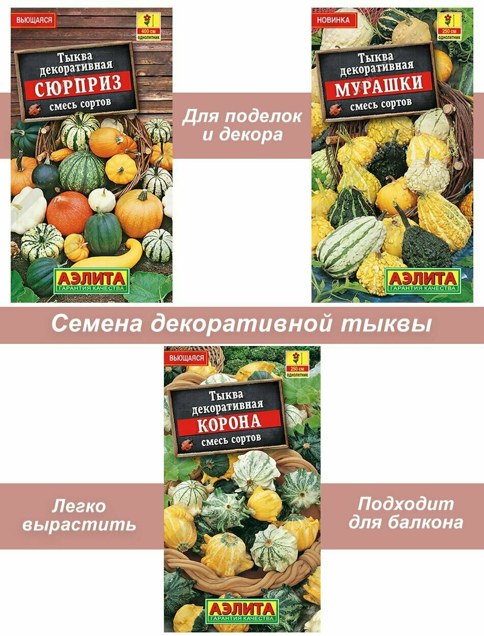 Семена декоративной тыквы 3 шт