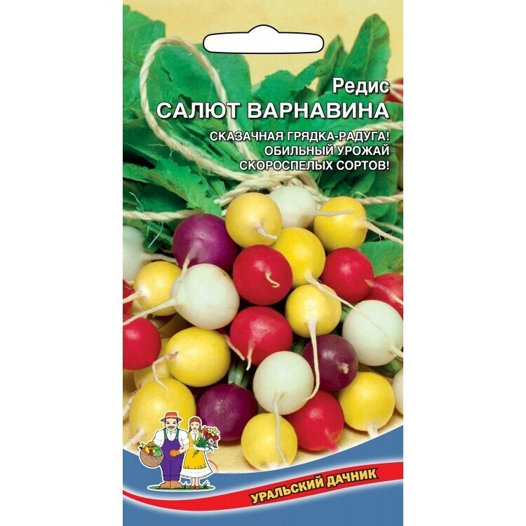 Редис Салют Варнавина 2г (Уральский дачник)