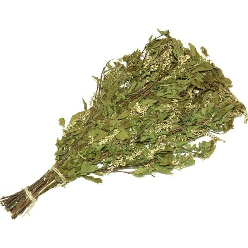 фото Веник из черёмухи