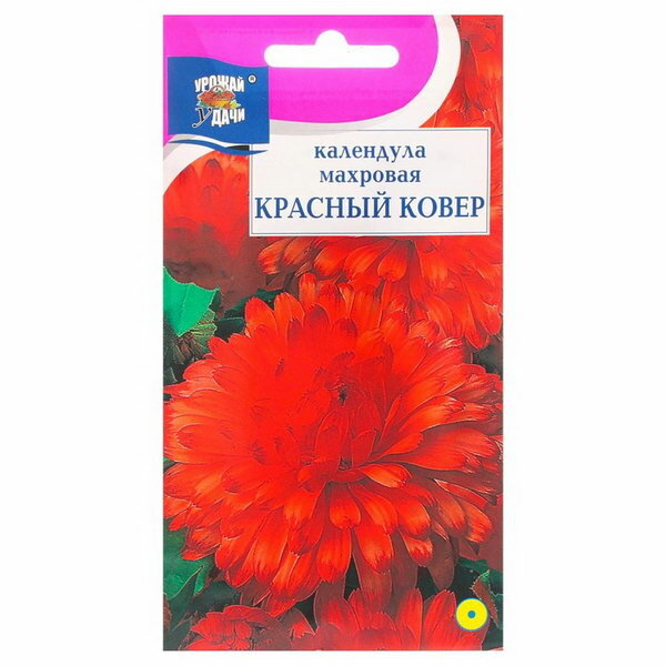 фото Семена цветов Календула махровая "Красный ковёр", 0.3 г, 3 шт.
