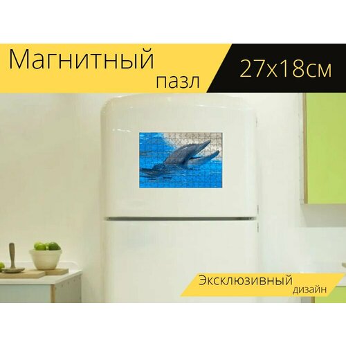 Магнитный пазл Бутылконосый дельфин, дельфин, зубы на холодильник 27 x 18 см.