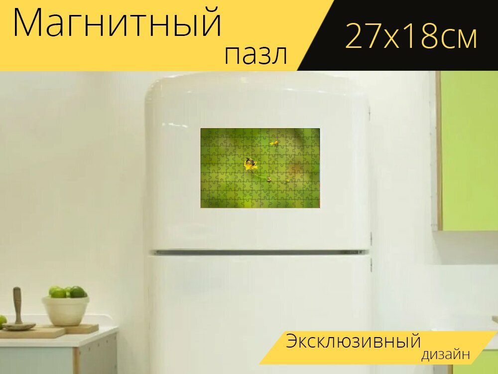 Магнитный пазл "Опыление, пчела, цветок" на холодильник 27 x 18 см.