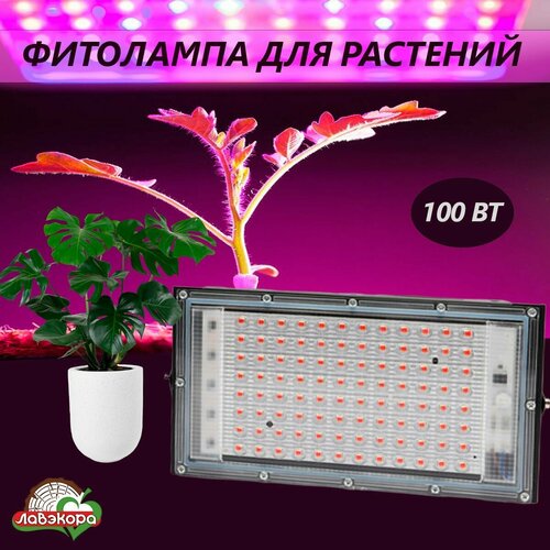 Фитолампа для растений Лавэкора, светильник светодиодный для роста растений,100 Вт