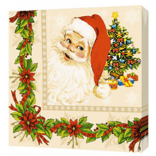 Салфетки Bgreen Санта Клаус, 3 слоя 20 шт 33*33 см