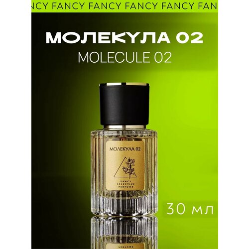 Духи стойкие шлейфовые Молекула 02 Molecule 02