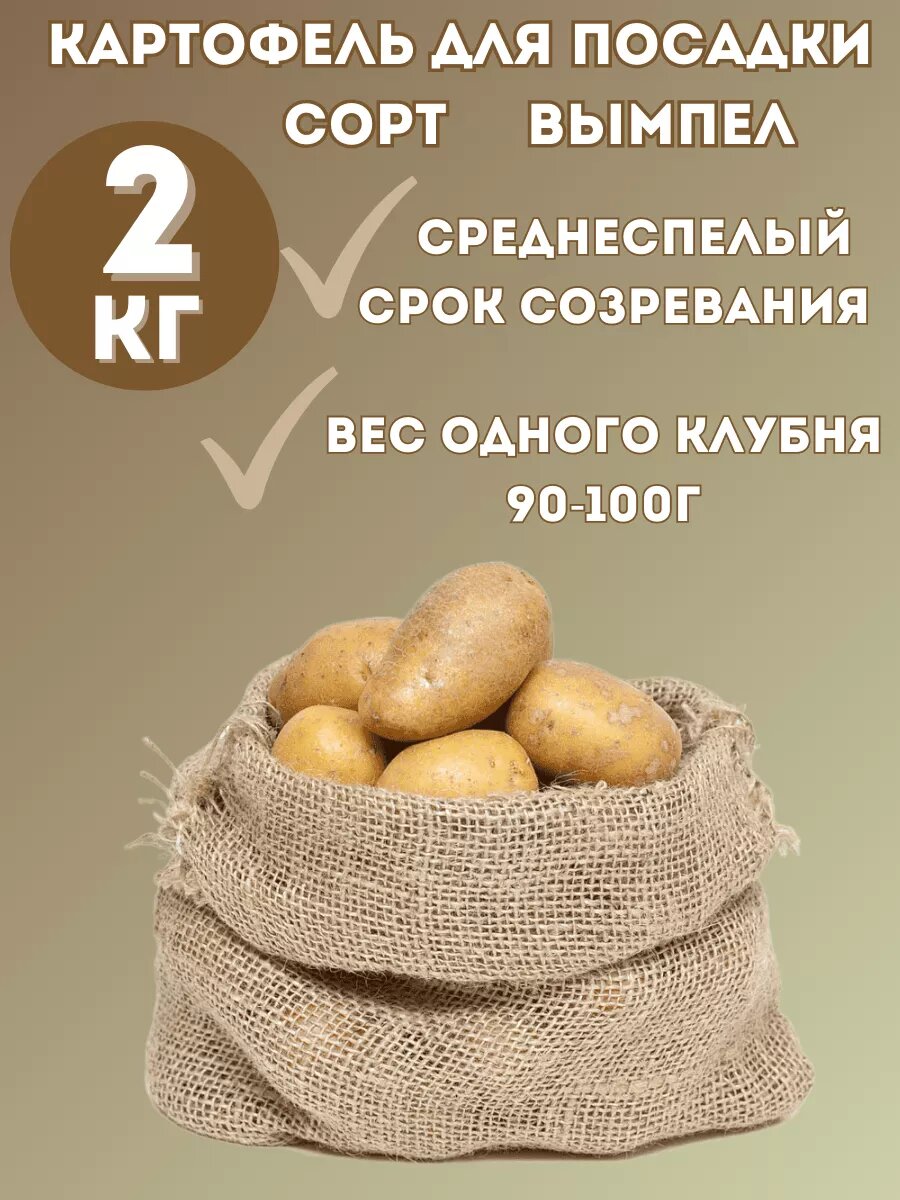 Картофель семенной 