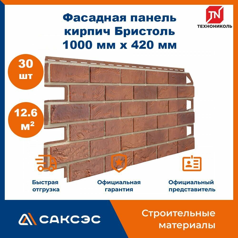 Фасадная панель ТехноНиколь кирпич Бристоль, 1000 мм х 420 мм, 12.6 м2, 30 шт.