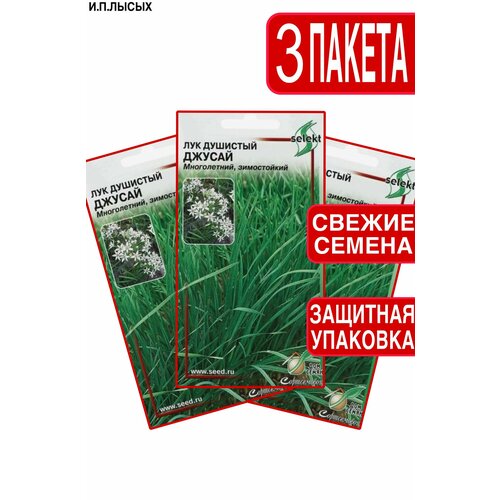 фото Семена лук душистый "джусай" дом семян