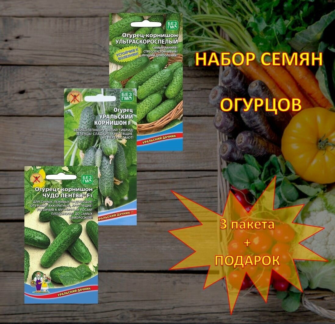 Семена огурцов Чудо лентяя Ультраскороспелый Уральский корнишон