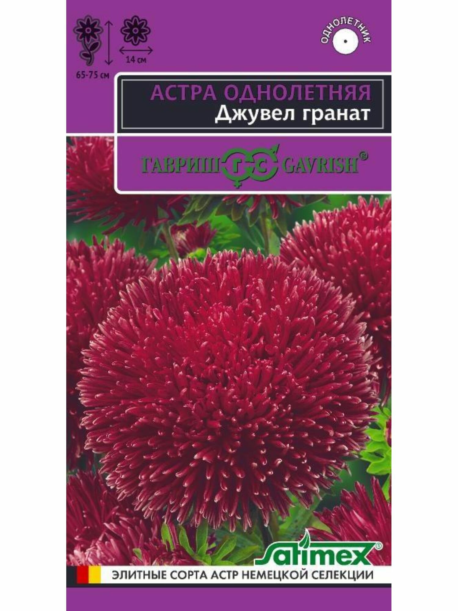 Семена цветов Эксклюзив астра Джувел Гранат