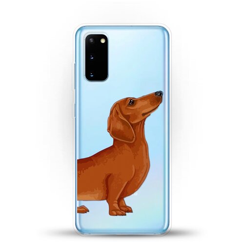 фото Силиконовый чехол коричневая такса на samsung galaxy s20 andy & paul