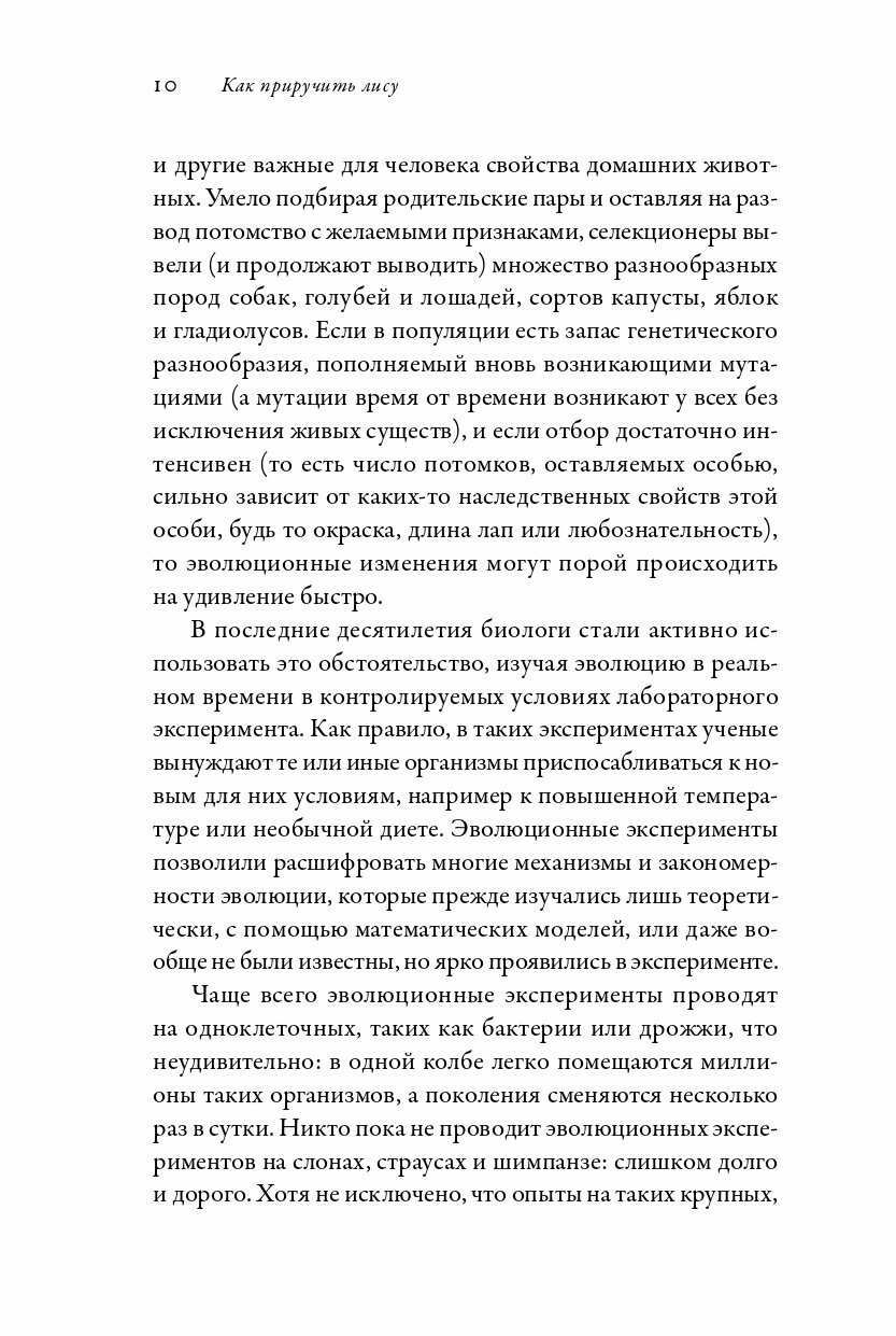 Как приручить лису (и превратить в собаку): Сибирский эволюционный эксперимент - фото №10