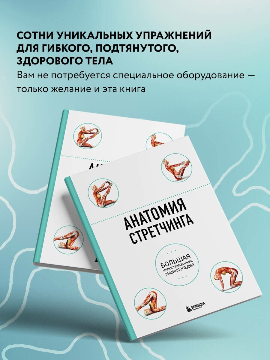 Анатомия стретчинга. Большая иллюстрированная энциклопедия - фото №3