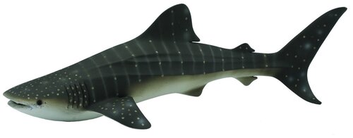 Фигурка Collecta Китовая акула 88453, 6.5 см