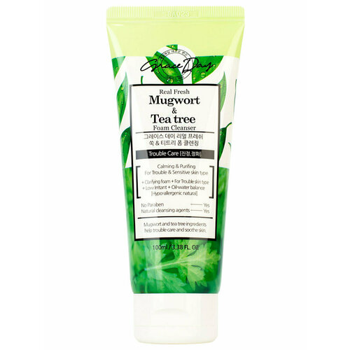 Grace Day Пенка с экстрактами полыни и чайного дерева Real Fresh Mugwort & Tea Tree Foam Cleanser, 100 мл grace day пенка с экстрактами полыни и чайного дерева real fresh mugwort