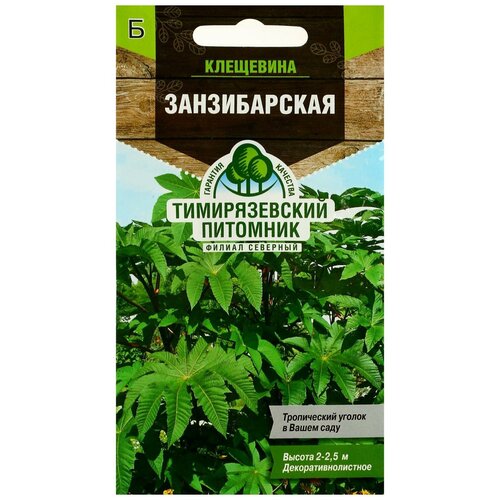 Семена Питомник растений КФ РГАУ-МСХА им. К.А. Тимирязева Клещевина Занзибарская, 5 шт