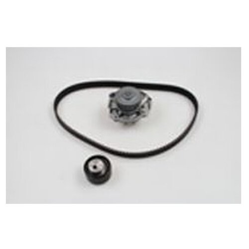 фото Комплект (ремень + ролик + водяной насос) metelli 30-0866-2