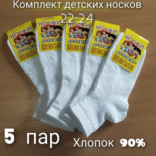 Носки Юстатекс, 5 пар, размер 22-24, белый