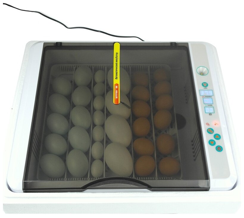 Инкубатор Sititek 36 автоматический с универсальными лотками (1 шт) - фотография № 3