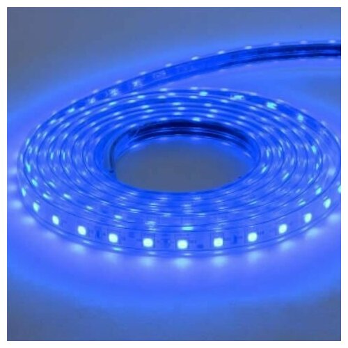Светодиодная влагозащищенная лента Horoz 6W/m 60LED/m 5050SMD синий 50M 081-004-0001 (HL543L) HRZ00001188