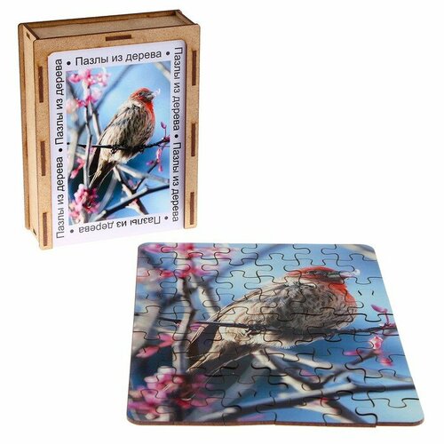 Пазл серия фантазия «Птичка», 54 детали, размер — 28 × 18,5 см