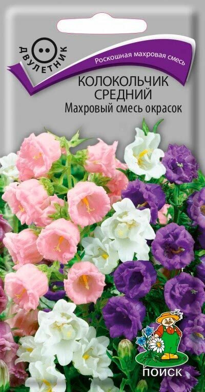 Семена Колокольчик средний Махровый смесь окрасок 01гр. Комплект из 3 пакетиков