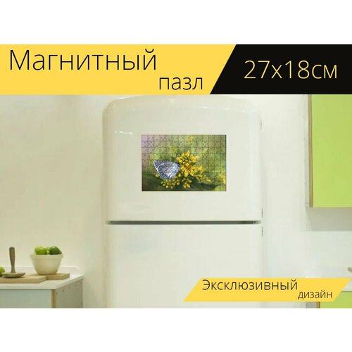Магнитный пазл Бабочка, цветок, бутоны на холодильник 27 x 18 см. магнитный пазл персиковый цветок цветок бутоны на холодильник 27 x 18 см