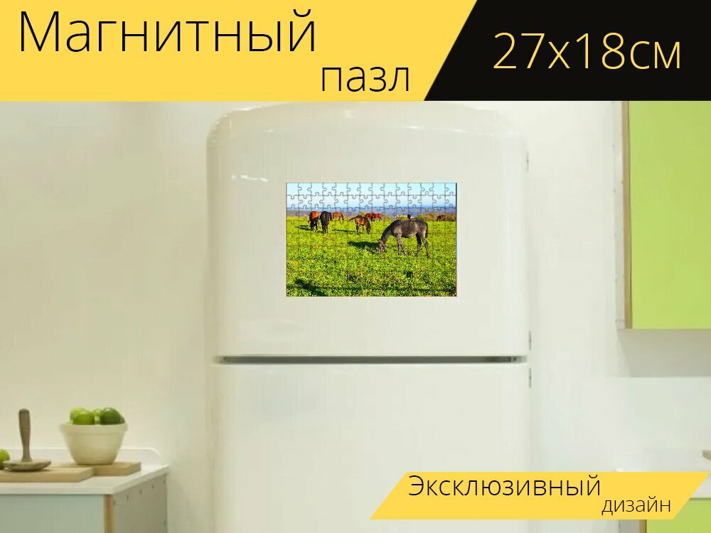 Магнитный пазл "Лошади, пастбище, пастбища" на холодильник 27 x 18 см.