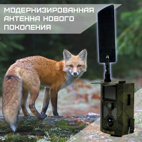Фотоловушка Teltos 120 4G для охоты охраны дома или дачи 1349000₽